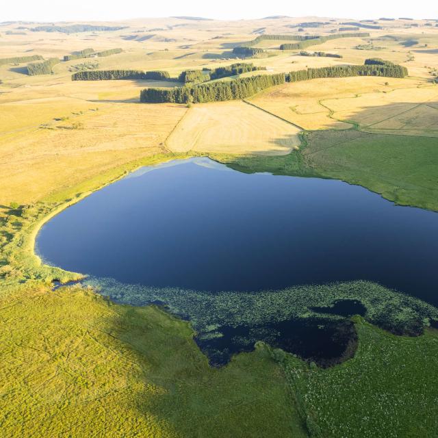 Lac Des Salhiens, route des lacs, Aubrac plateau.