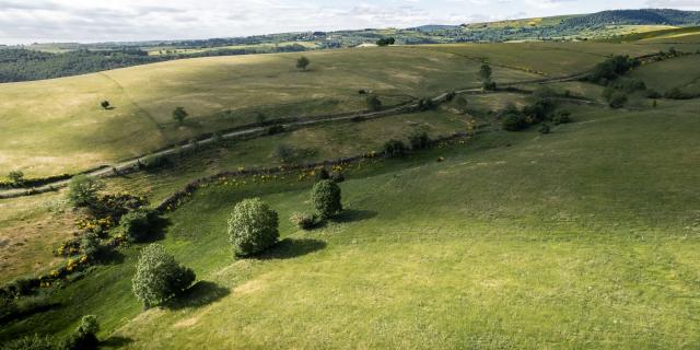 Paysage de l'Aubrac au printemps.