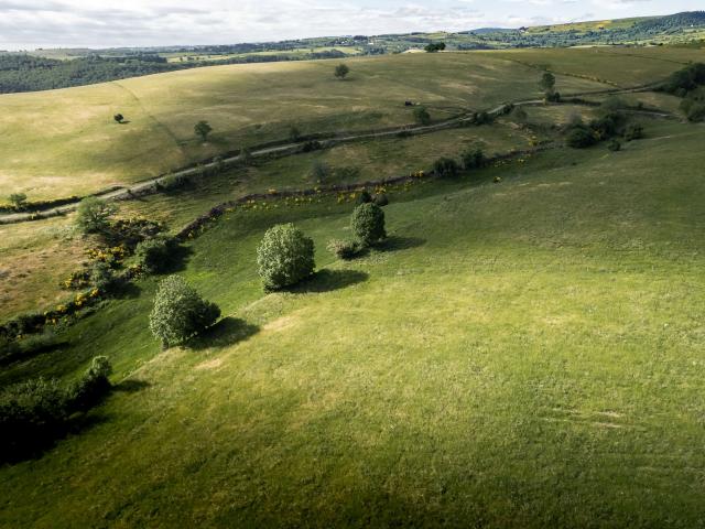 Paysage de l'Aubrac au printemps.