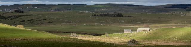 Burons Aubrac paysage printemps.