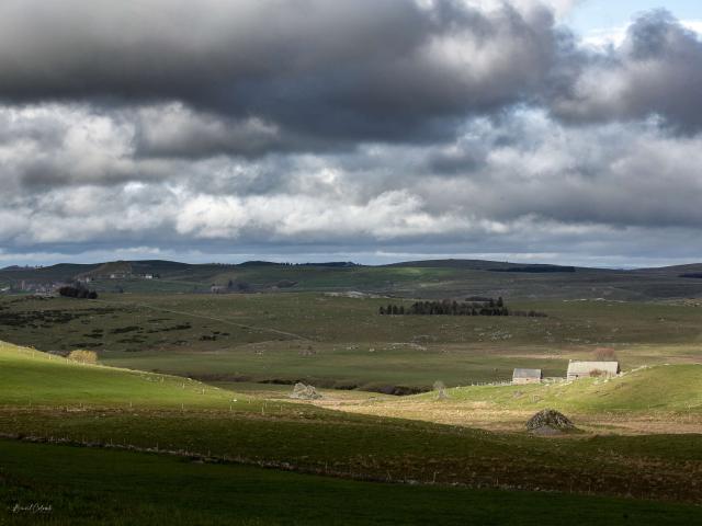 Burons Aubrac paysage printemps.