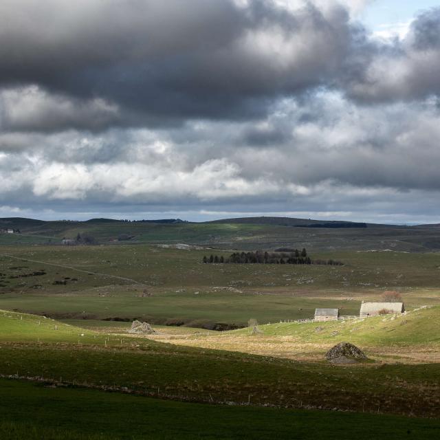 Burons Aubrac paysage printemps.