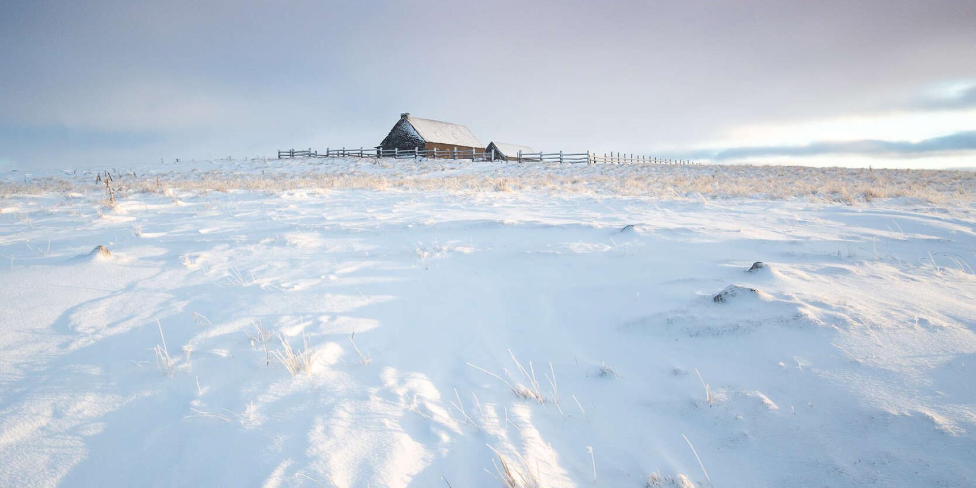 Neige et buron sur l'Aubrac.