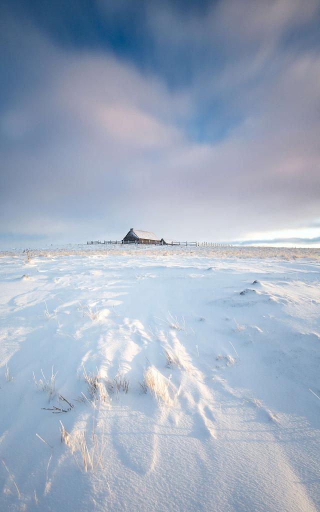 Neige et buron sur l'Aubrac.