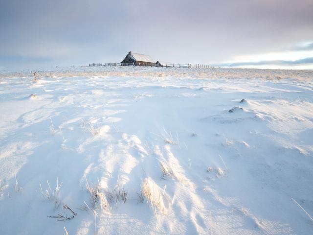 Neige et buron sur l'Aubrac.