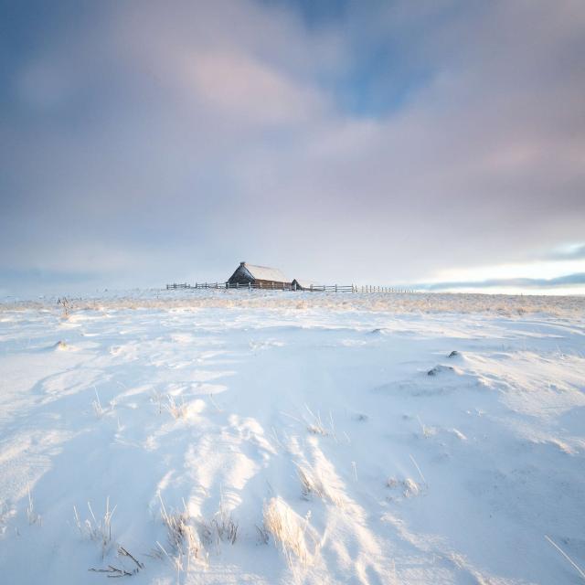 Neige et buron sur l'Aubrac.