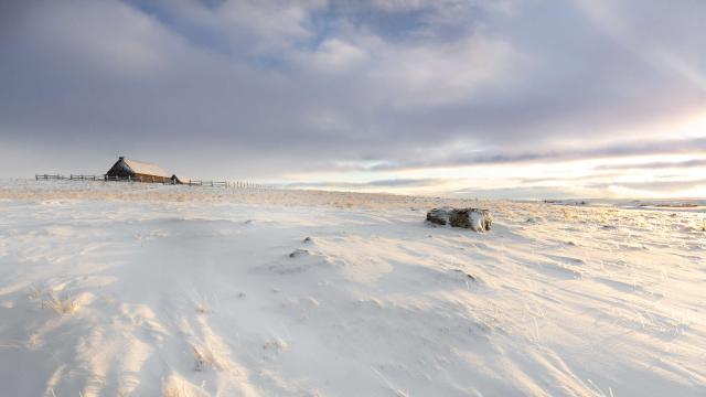 Paysage hiver Aubrac.