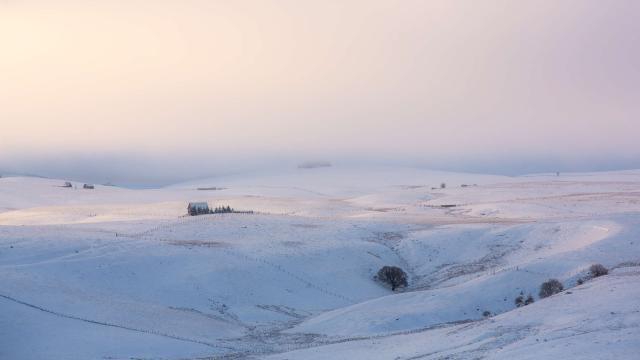 Plateau Aubrac neige Lozère.