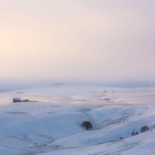 Plateau Aubrac neige Lozère.