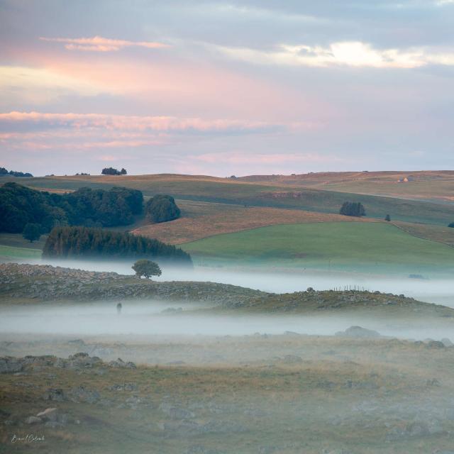 Brume paysage Aubrac matin.