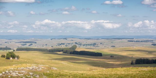 Vue sur le plateau de l'Aubrac.