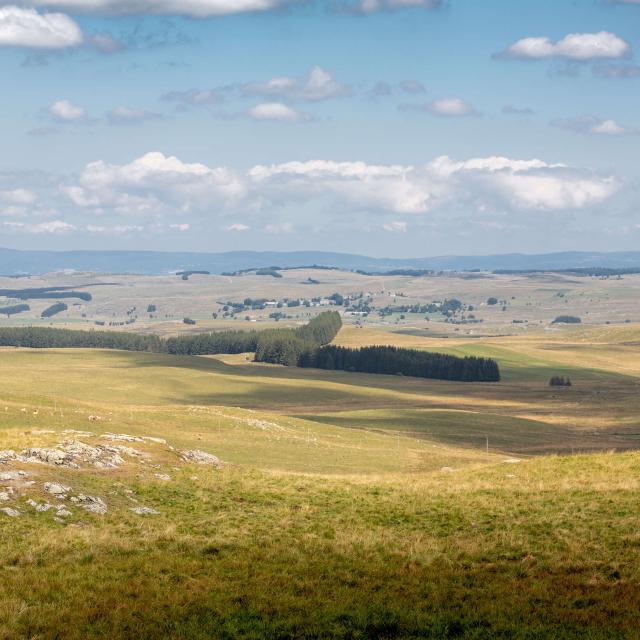 Vue sur le plateau de l'Aubrac.