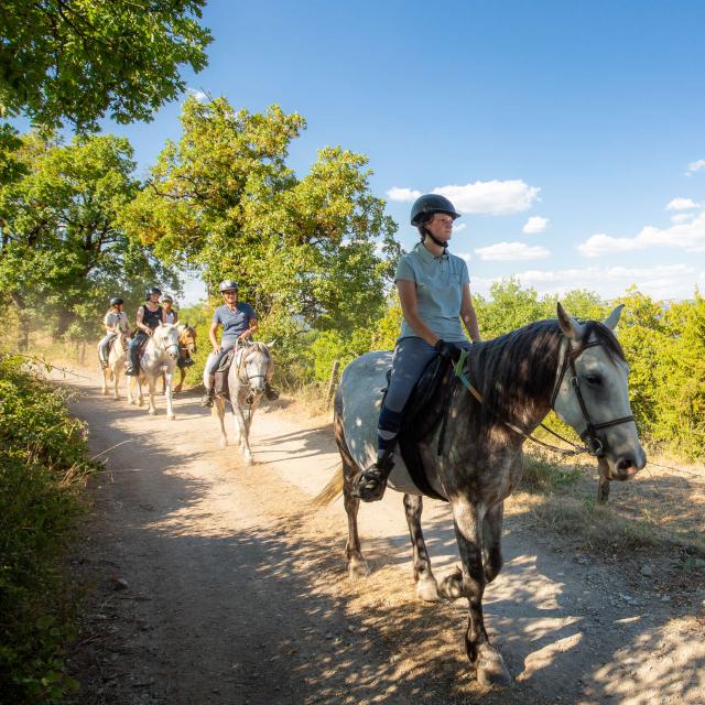 Promenade à cheval entre amies Lozère.