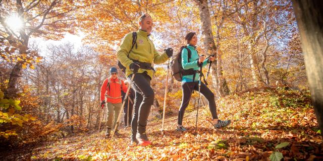 Randonneurs dans la forêt à l'automne sur l'Aubrac.