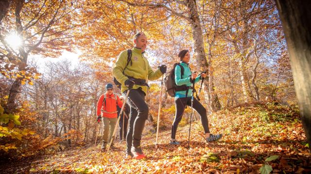 Randonneurs dans la forêt à l'automne sur l'Aubrac.