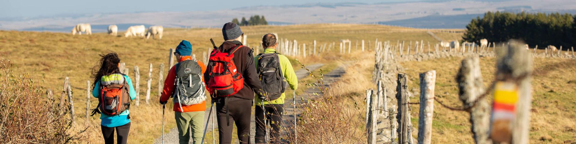 Groupe randonneurs GR Monts d'Aubrac.