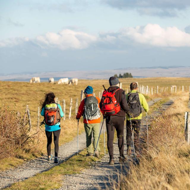 Groupe randonneurs GR Monts d'Aubrac.