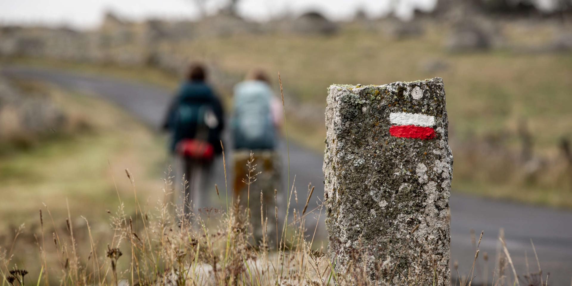 Hikers on the Aubrac GR.