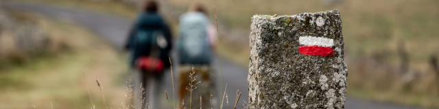 Hikers on the Aubrac GR.