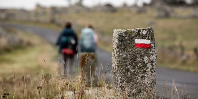 Randonneurs sur GR Aubrac.