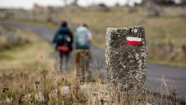 Randonneurs sur GR Aubrac.