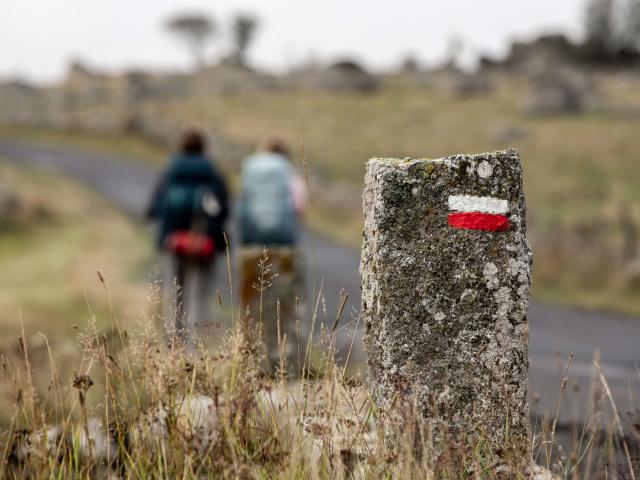 Randonneurs sur GR Aubrac.