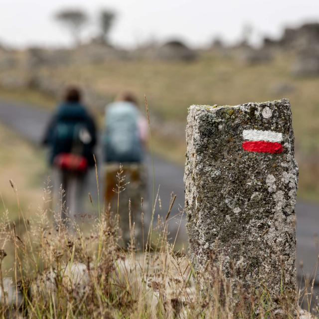 Randonneurs sur GR Aubrac.