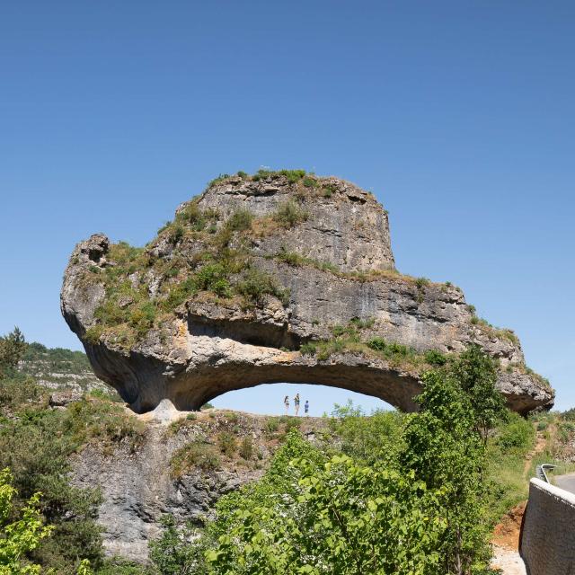 Le Sabot de Malepeyre rocher la Canourgue