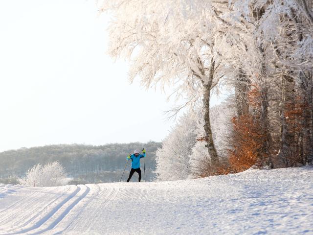 Ski de fond Bonnecombe Aubrac.