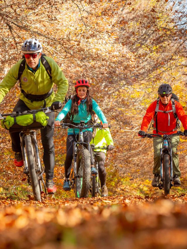 VTT Automne Aubrac.