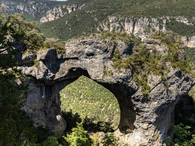 La Baousse del Biel et les vautours fauves