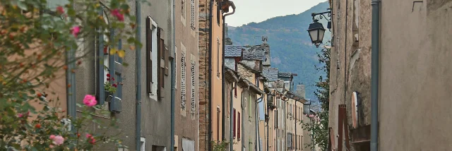 00 0503 Ispagnac Departement Lozere