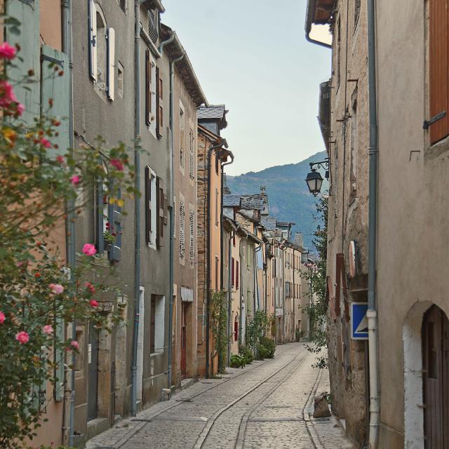 00 0503 Ispagnac Departement Lozere