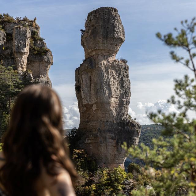 vue rochers Gorges de la Jonte