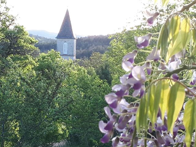 La Tieule fleurs printemps.