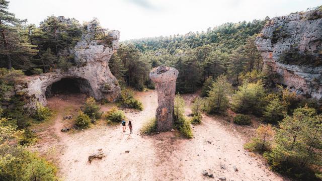 arcs saint pierre forêt pins causse méjean