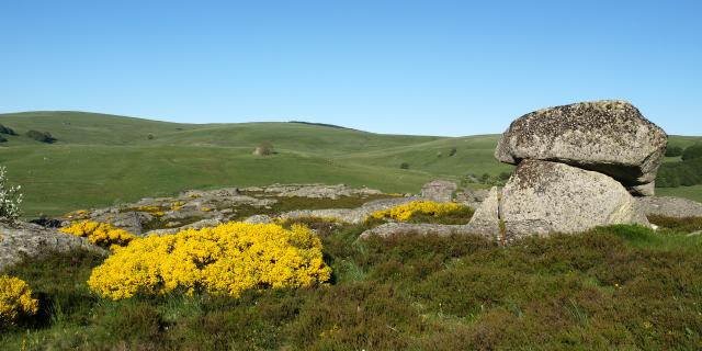 signal mailhebiau aubrac paysages