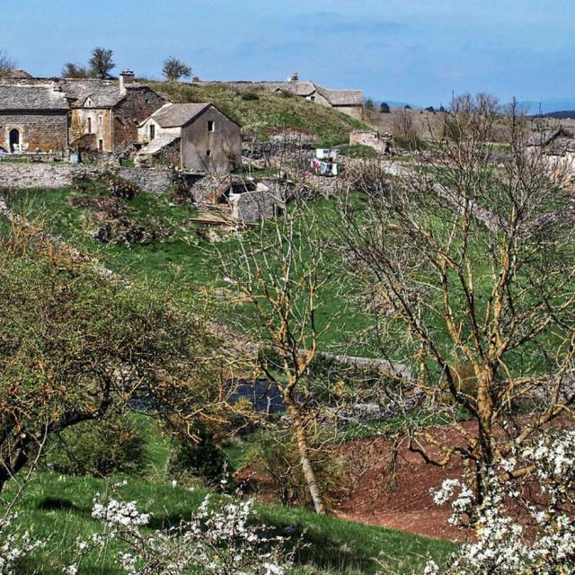 Maisons caussenardes village sauveterre lozère.