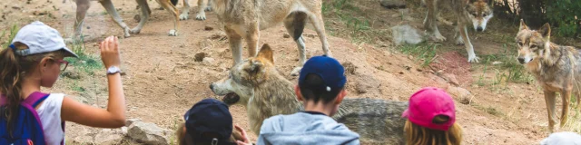 Visite du nouveau Parc des Loups du Gévaudan.