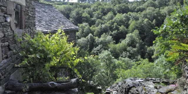 Mandement de nogaret lozère aubrac