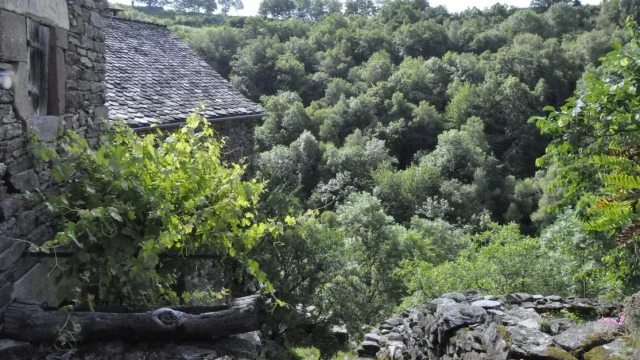 Mandement de nogaret lozère aubrac