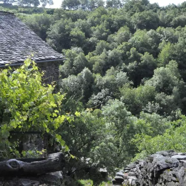 Mandement de nogaret lozère aubrac