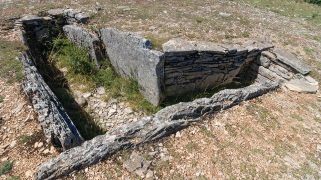 Le dolmen coudé de l'Aire des Trois-Seigneurs, causse de Sauveterre, Lozère, France