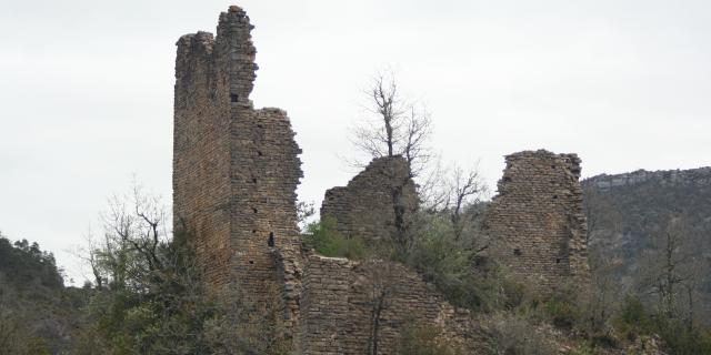 Chateau De Dolan Dans Les Gorges Du Tarn