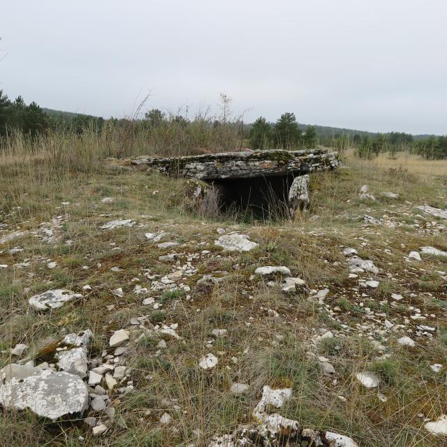 Dolmen De la Plone ayguières lozère