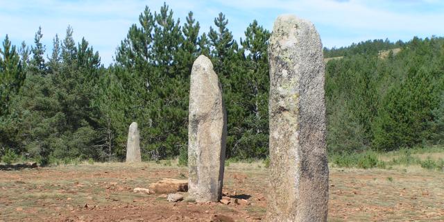 MINOLTA Menhirs-La-Cham-des-Bondons