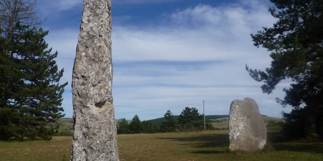 Menhirs De La Cham Des Bondons