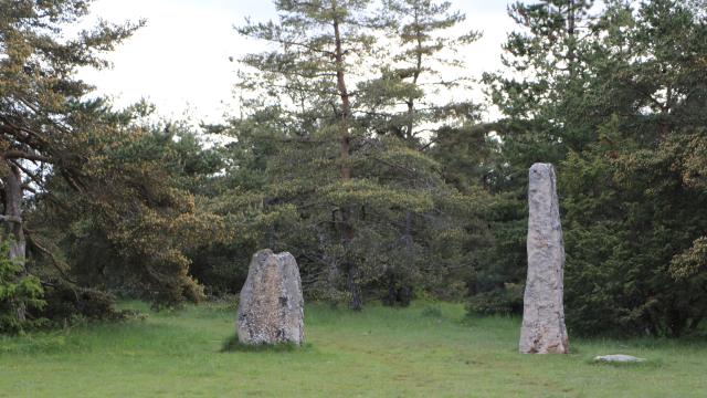 Menhirs roumaldis