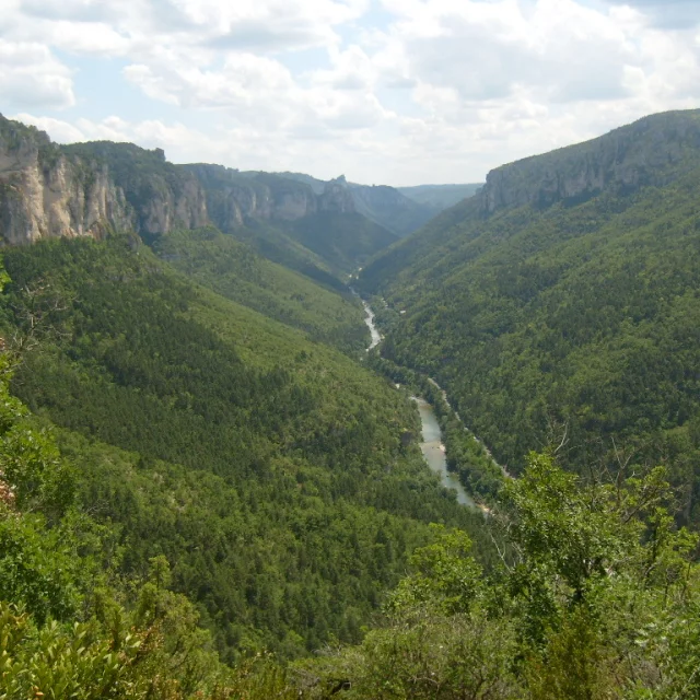 Vue de Blanquefort