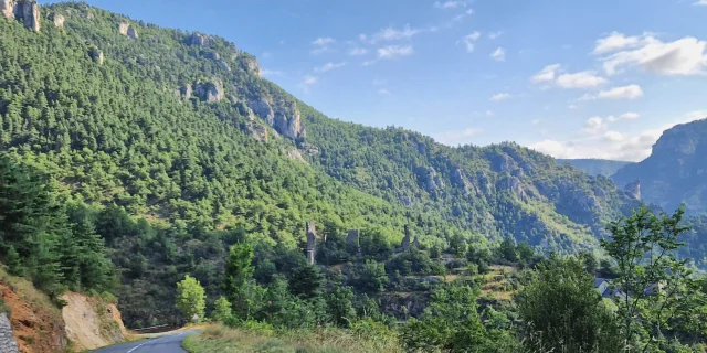 Vue sur le Château de Dolan depuis la route des Vignes